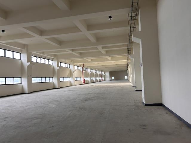 桃園觀音廠房-1