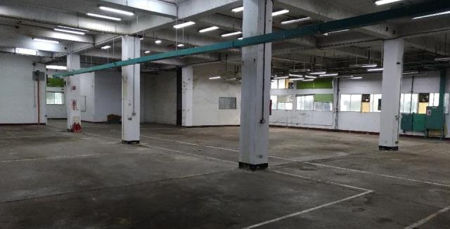 桃園八德廠房-1