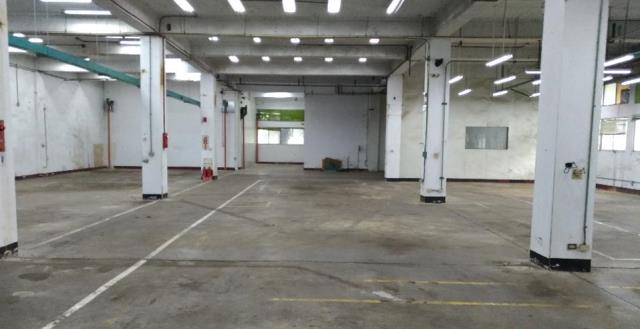 桃園八德廠房-3