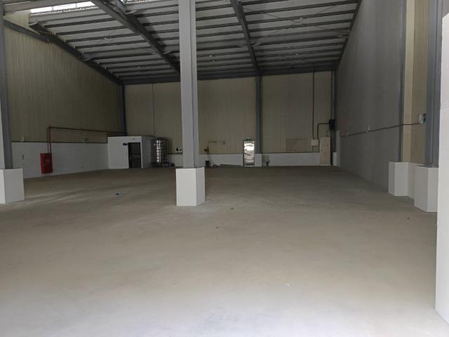 新北樹林倉庫-1